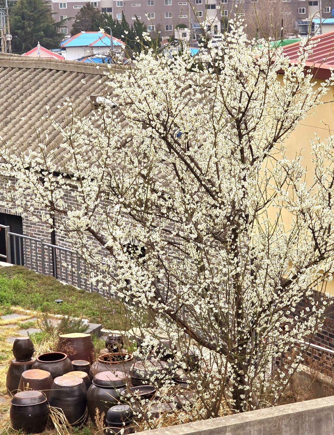 3.28 잡아준다는 말2.jpg