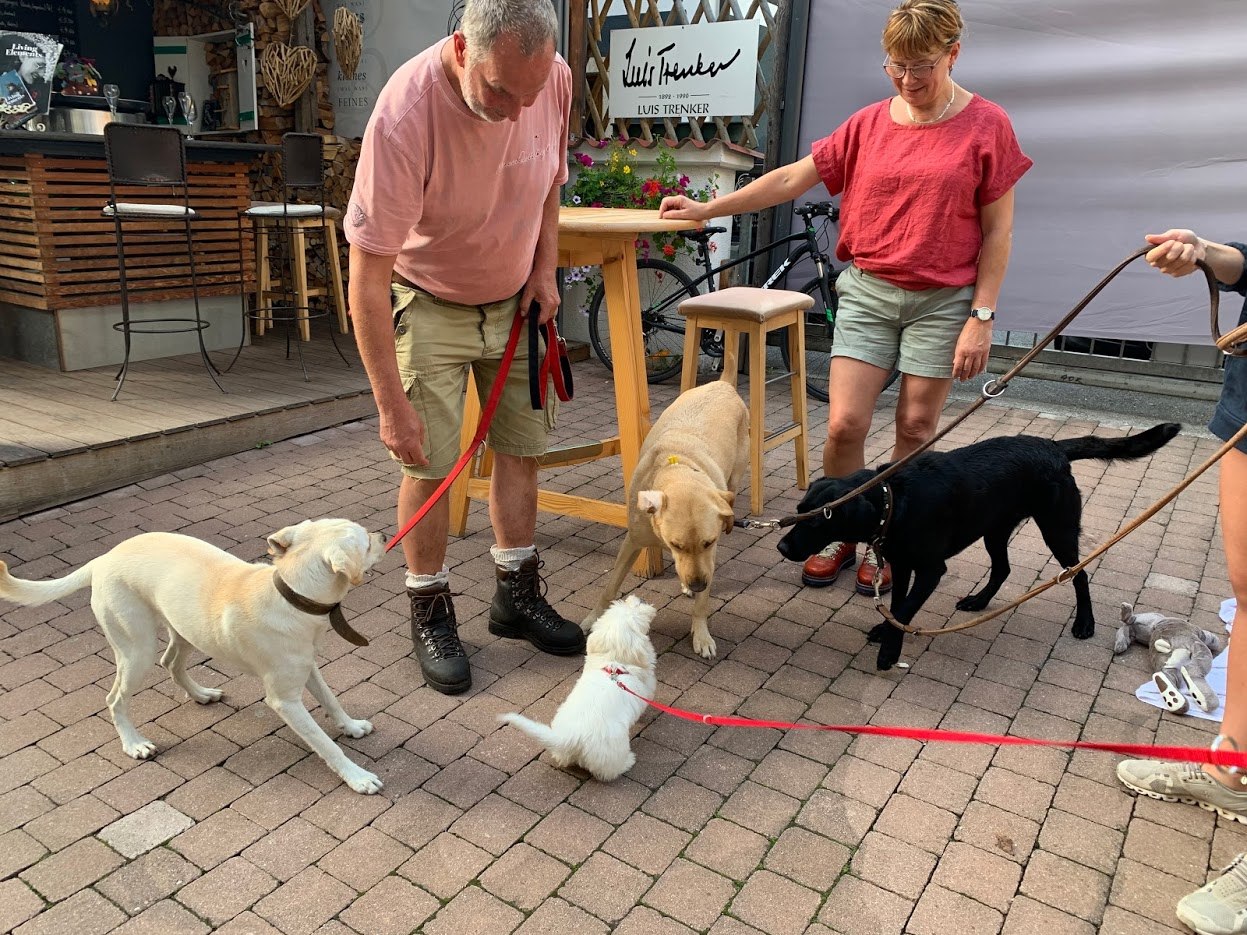 장크트볼프강에서 만난 리트비버들.jpg