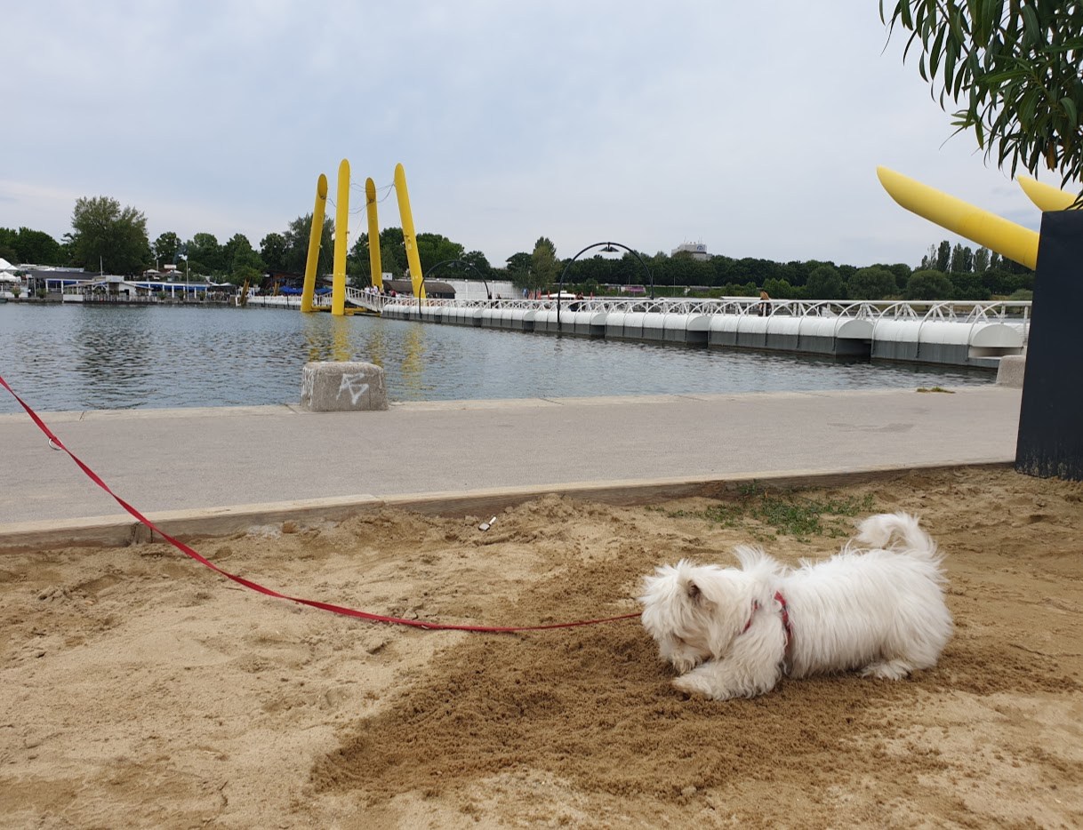 모래 파는 자두_3.jpg