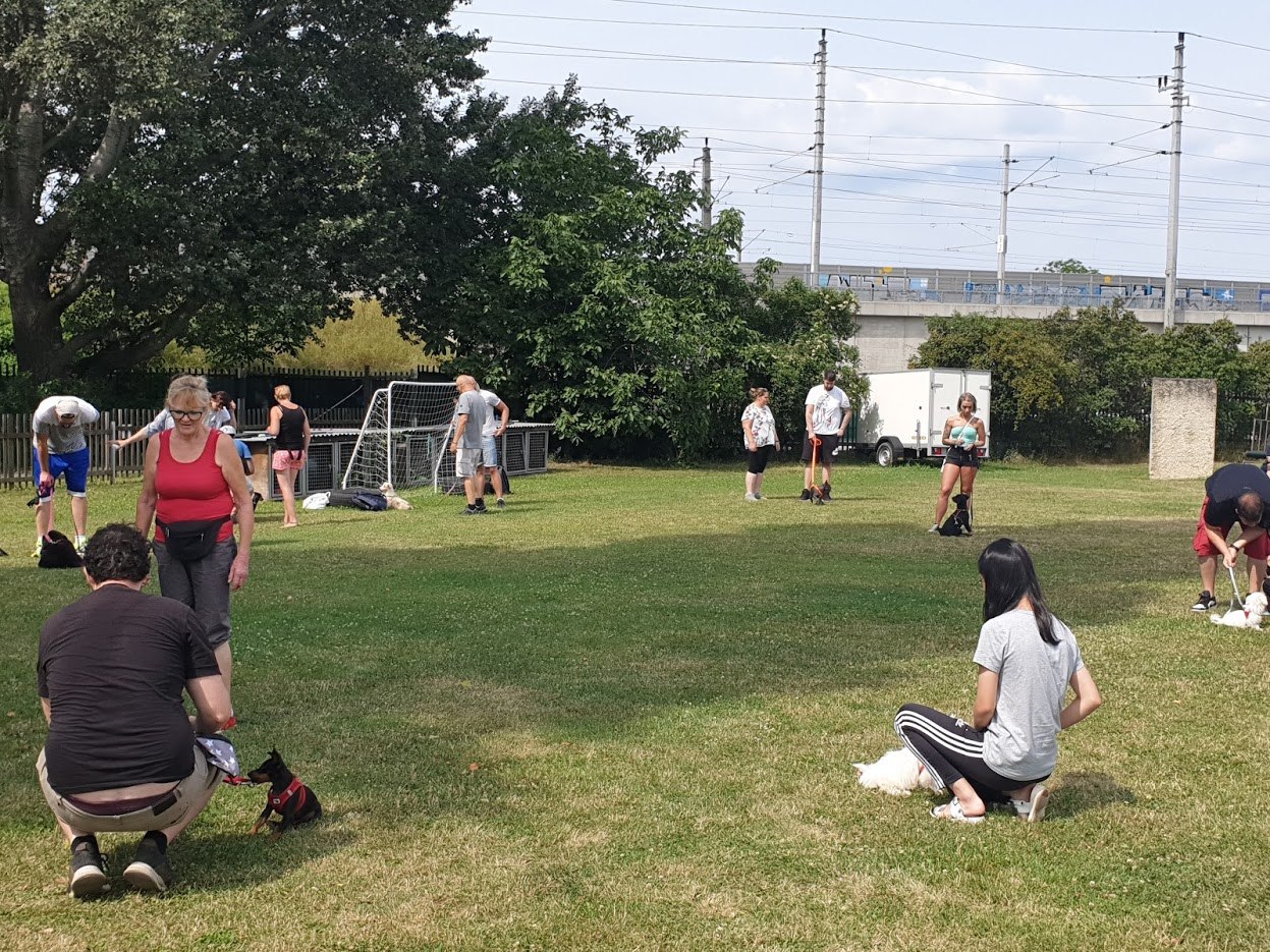 비에너 훈데슐레 교육장면.jpg