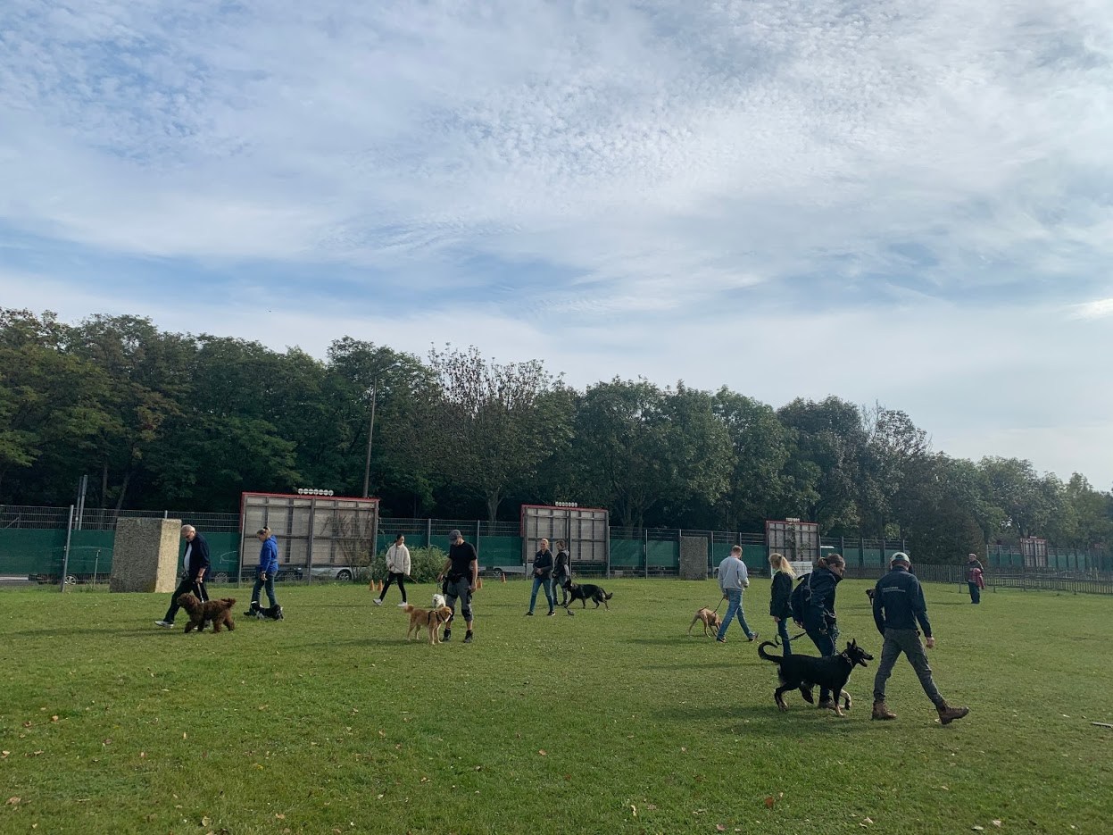 가깝게 산책하는 모습.jpg