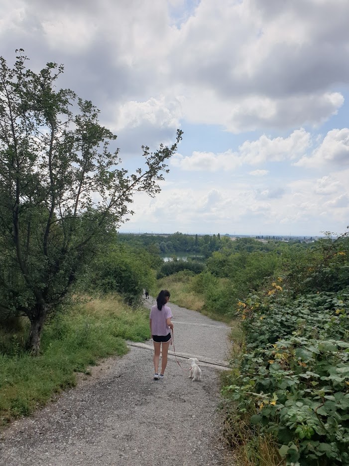 숲 공원의 주니와 자두_1.jpg