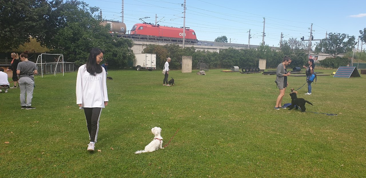 줄 놓고 걸어가는 모습.jpg