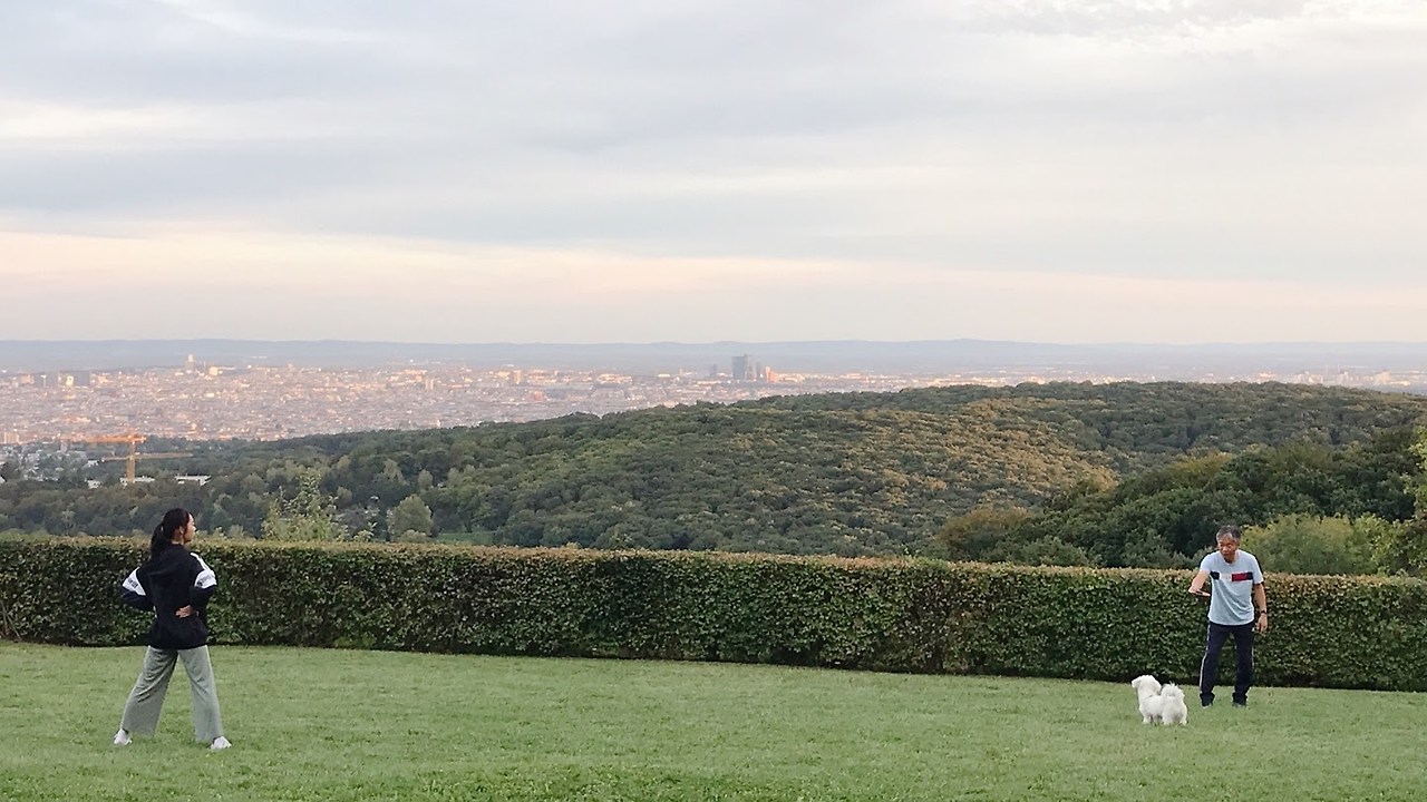 비엔나숲 언덕 정상.jpg