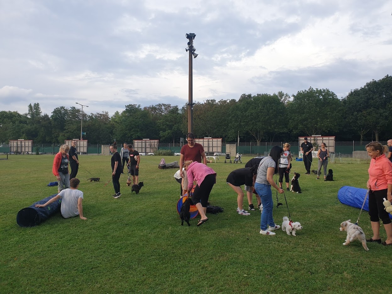 천 터널을 통과하는 강아지.jpg