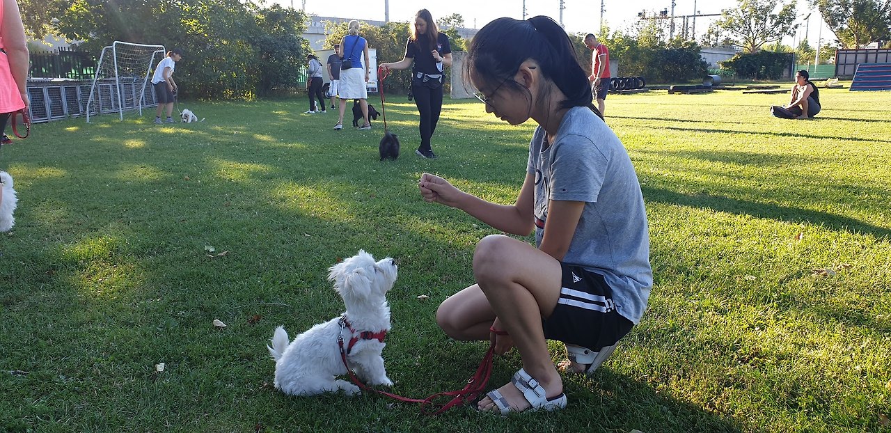 줄 잡고 먹이 주는 모습.jpg