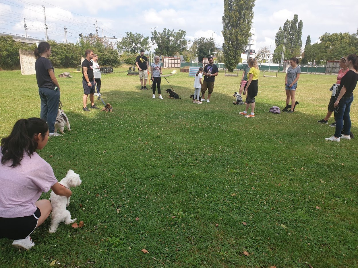 둥글게 모여있는 모습.jpg