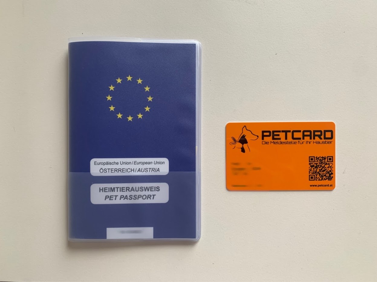 개 패스포트와 펫카드.jpg