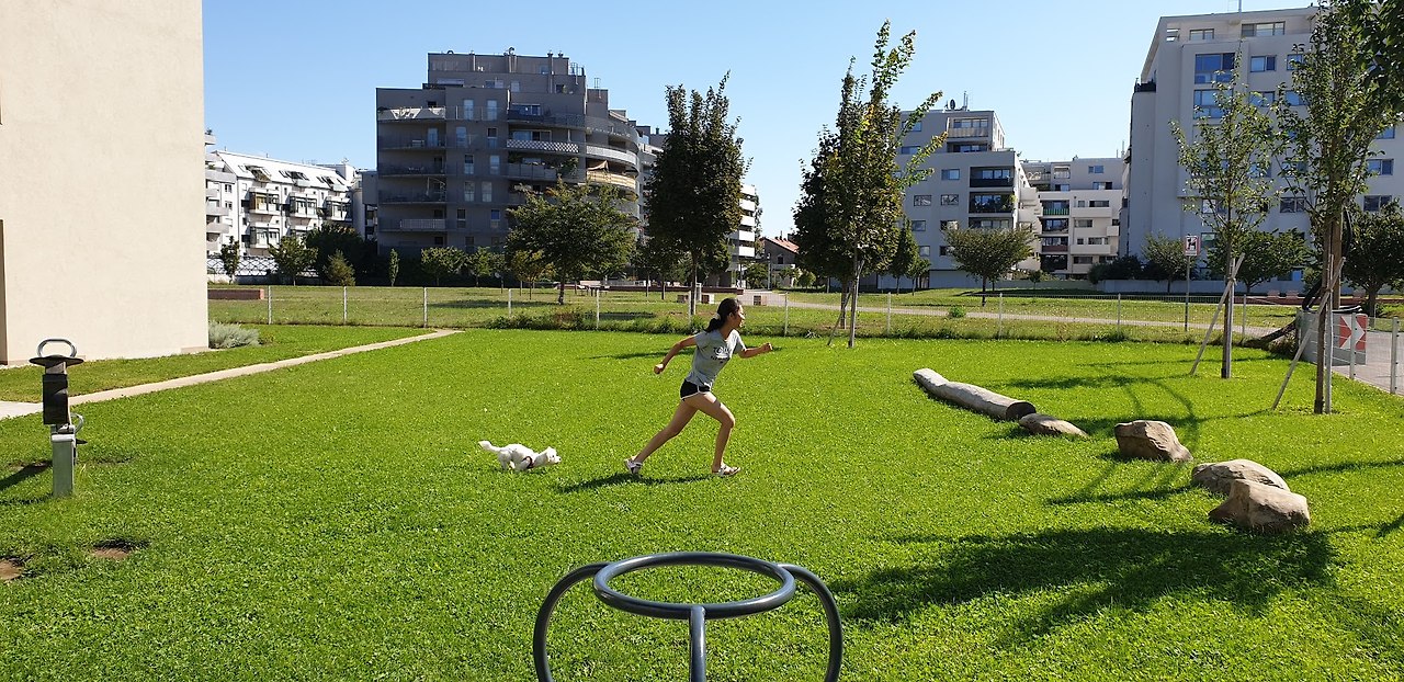 동네 잔디밭.jpg