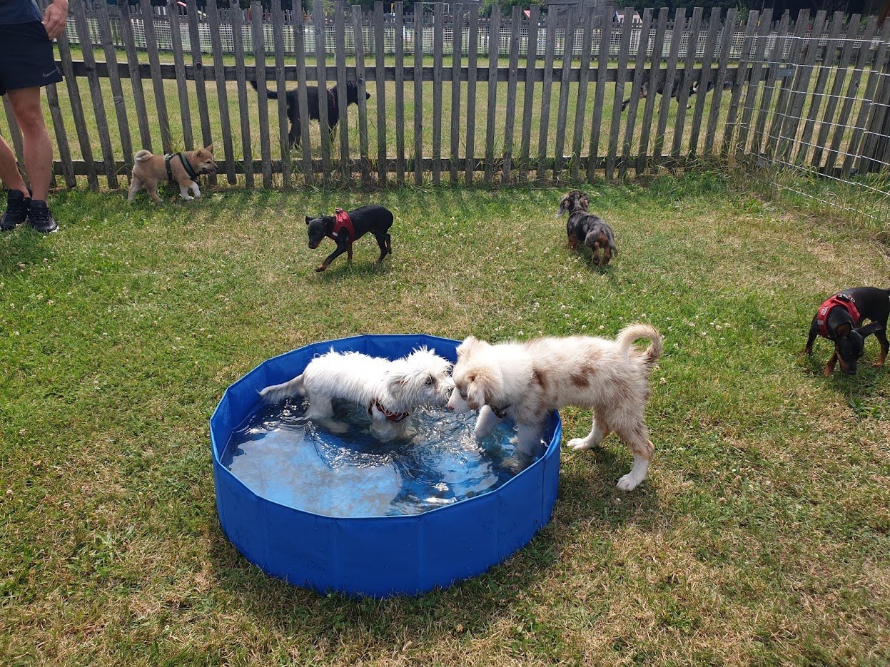 훈데슐레 놀이터 미니풀장.jpg