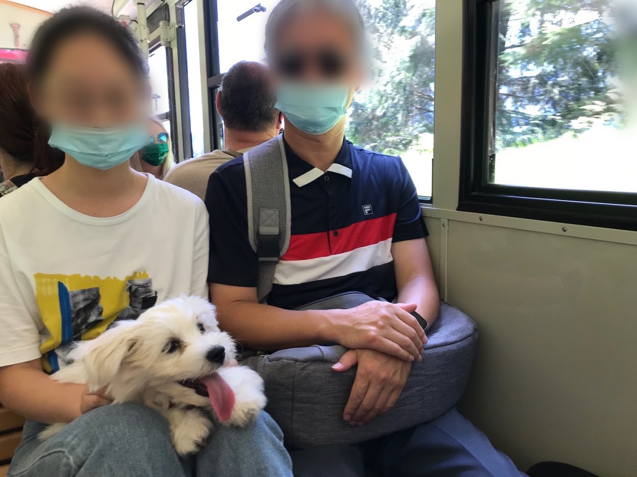 산악열차 타고 가는 자두.jpg