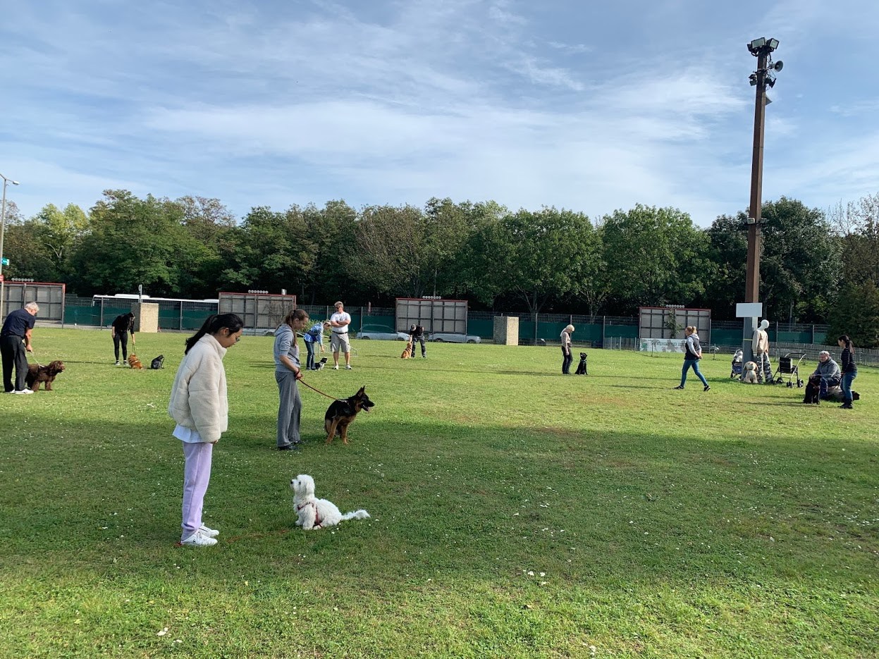 주인에게 집중.jpg