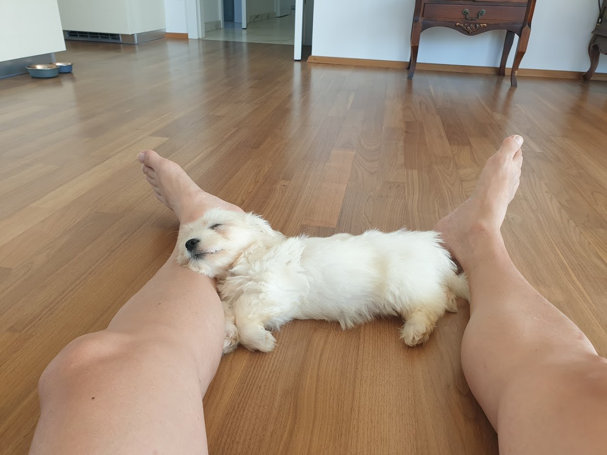 자두와 잠자기.jpg