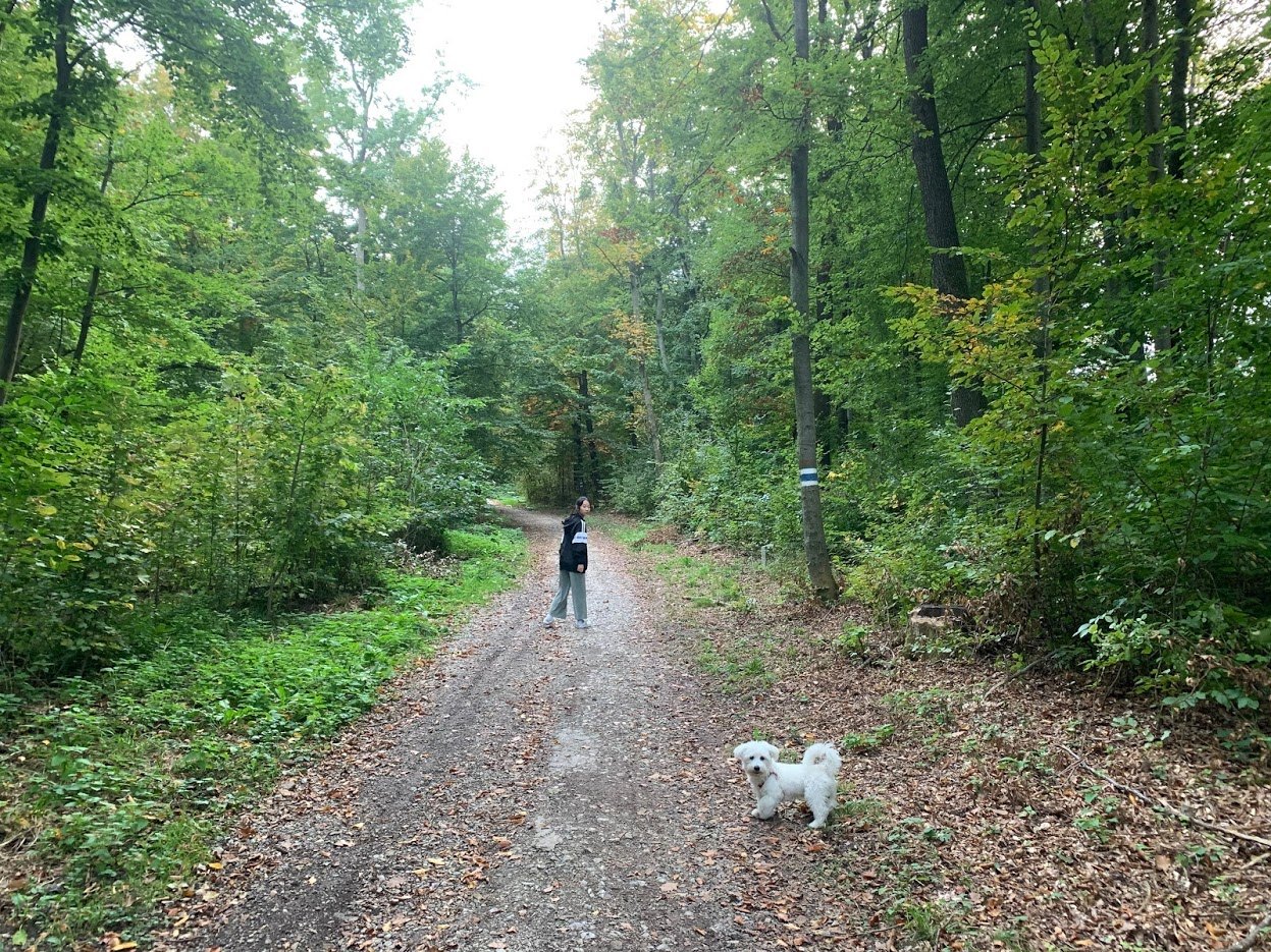 비엔나숲 산책길.jpg