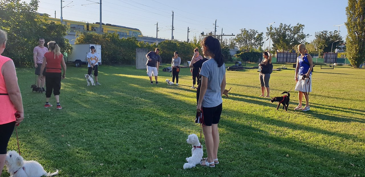 질의응답 시간.jpg