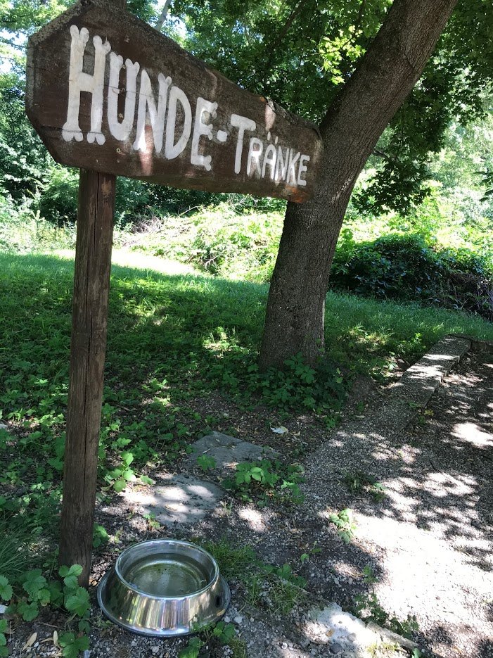 개 물먹이는 장소.jpg