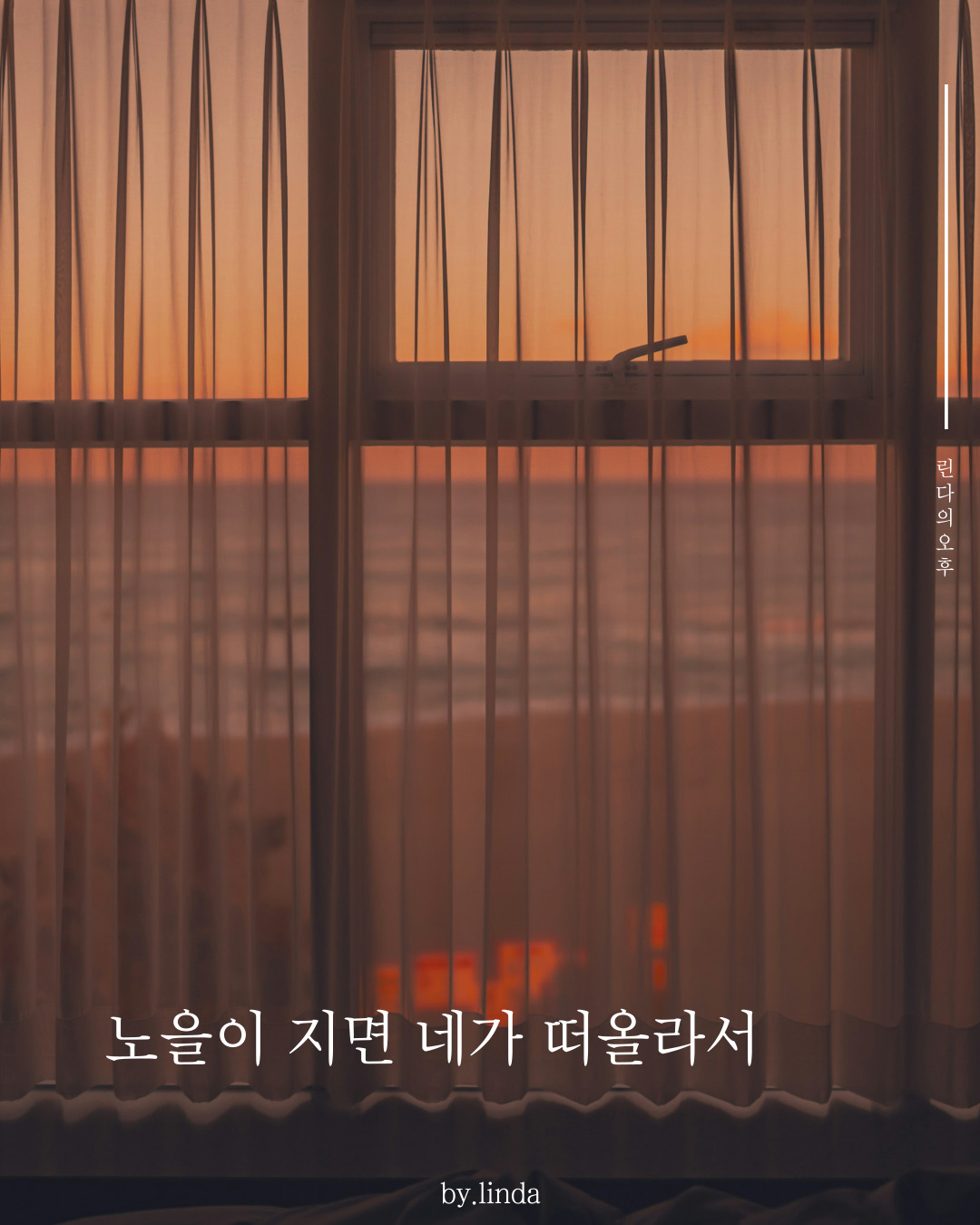 카지노 게임