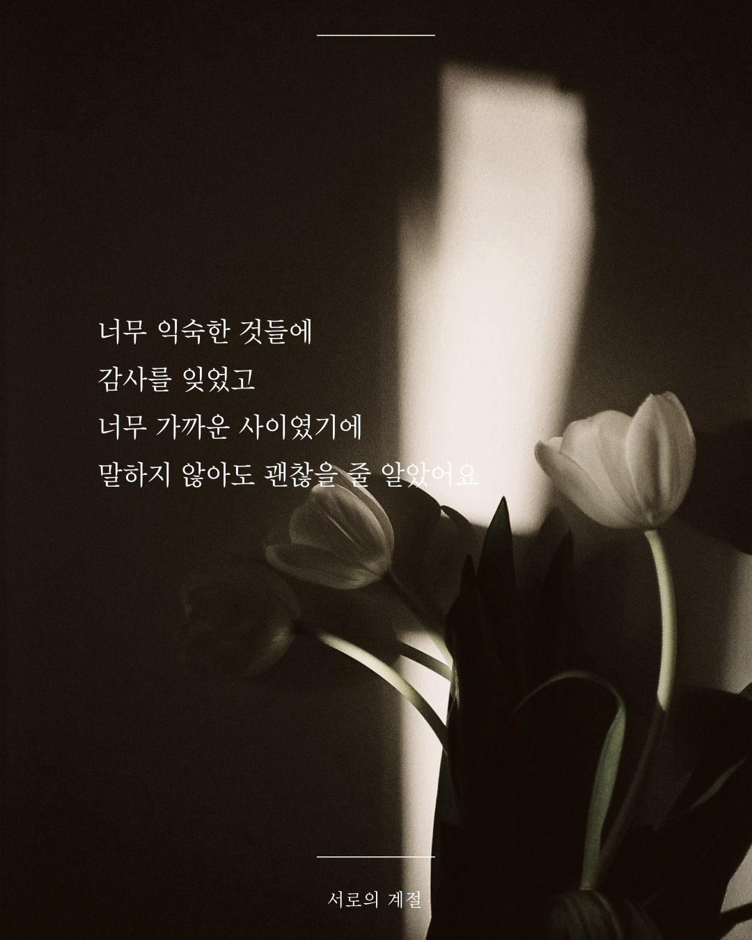 카지노 게임