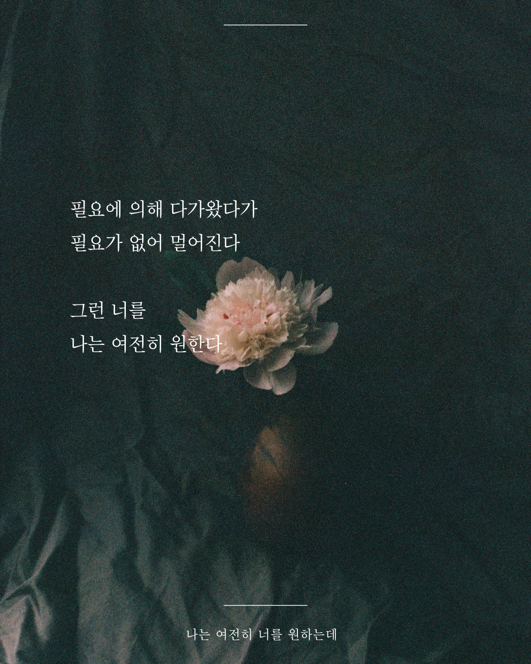 카지노 게임