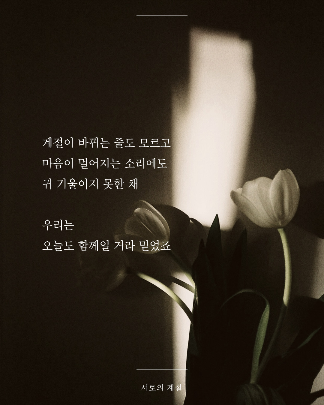 카지노 게임