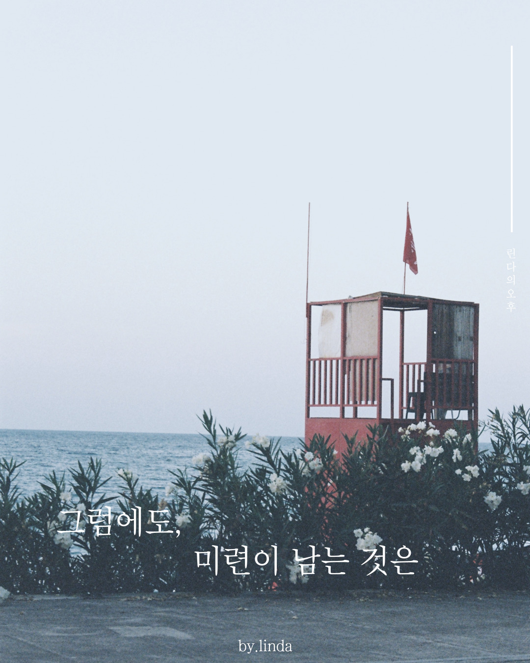 온라인 카지노 게임