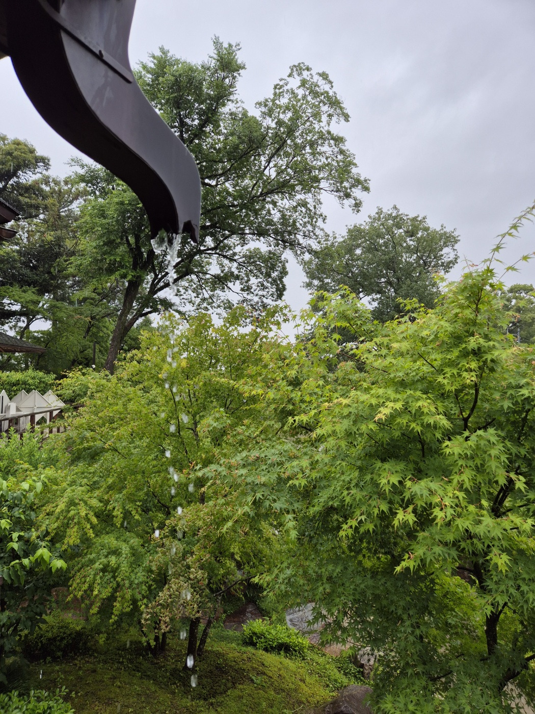 일본 청수사 2.jpg