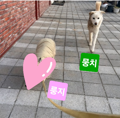 KakaoTalk_20251118_074725062.jpg