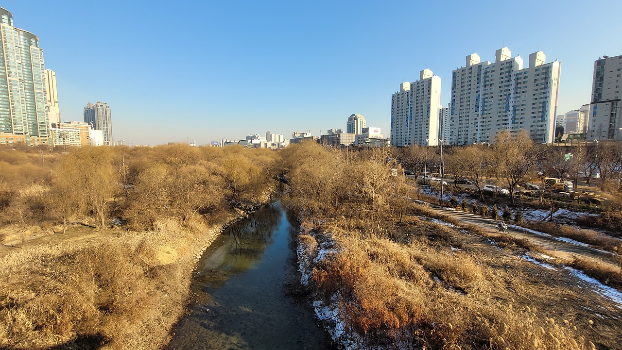 샛강역 사진1.jpg