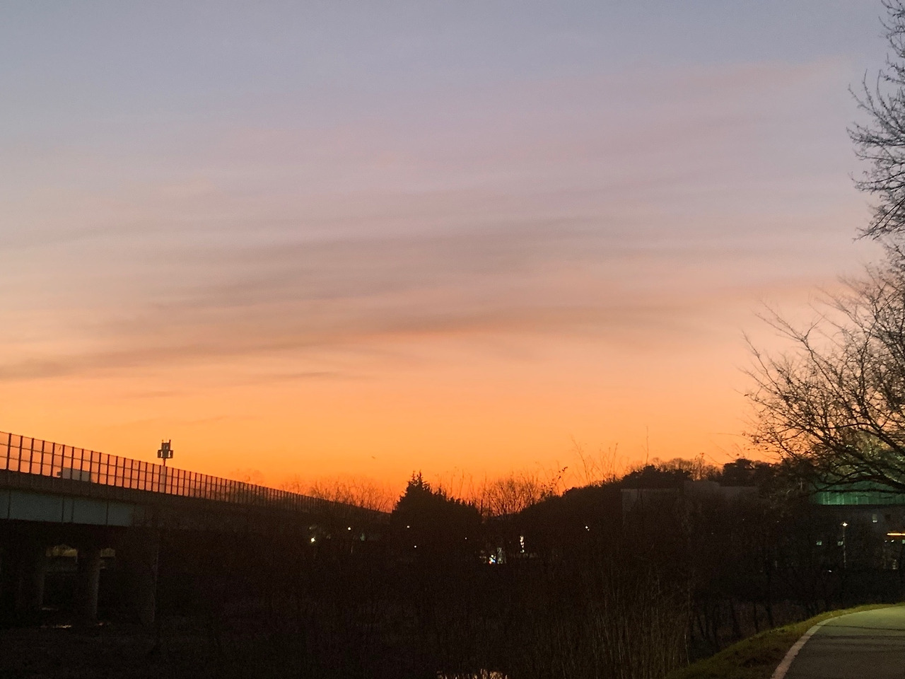 도로변 노을.jpg