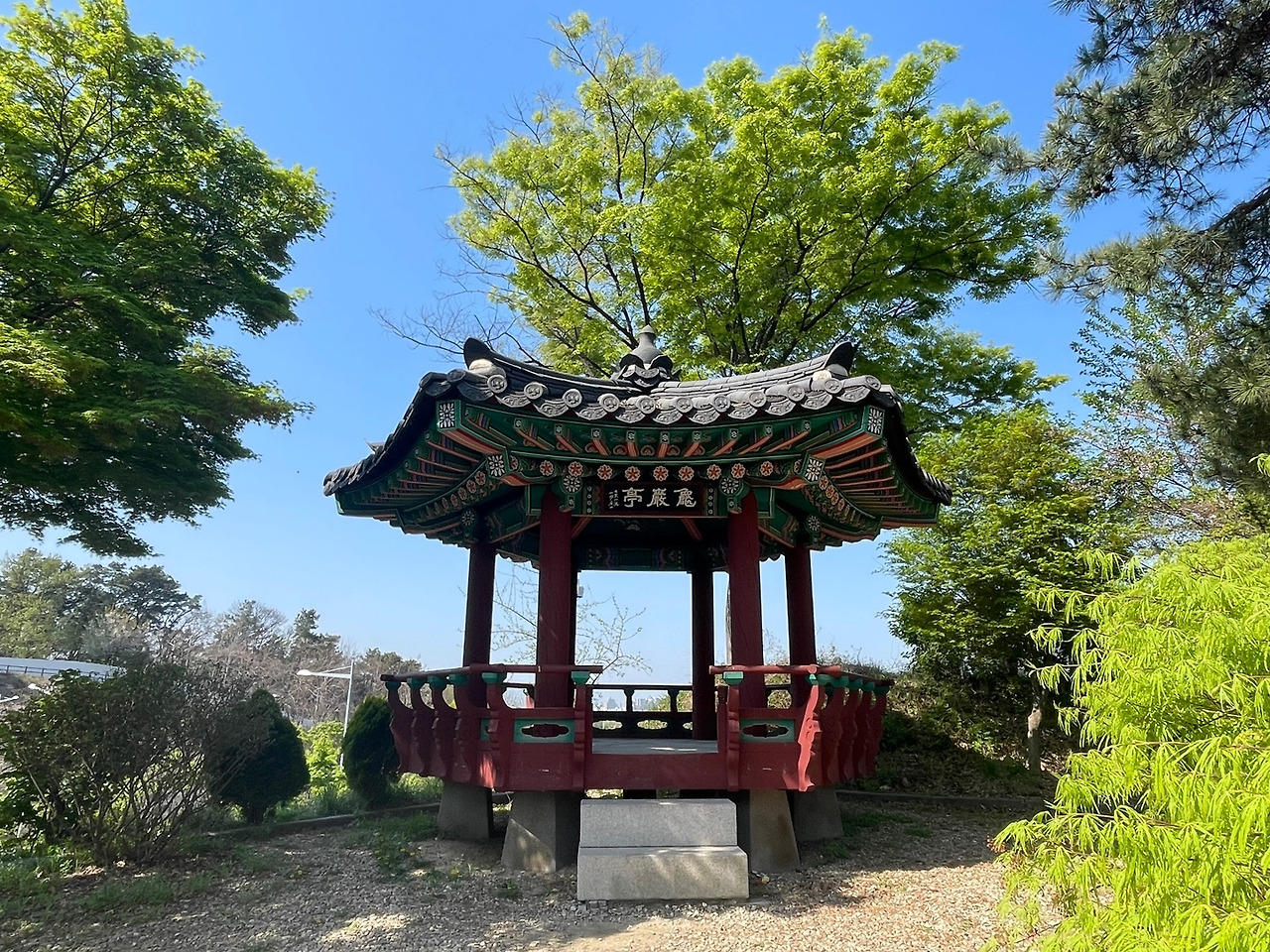 카지노 게임