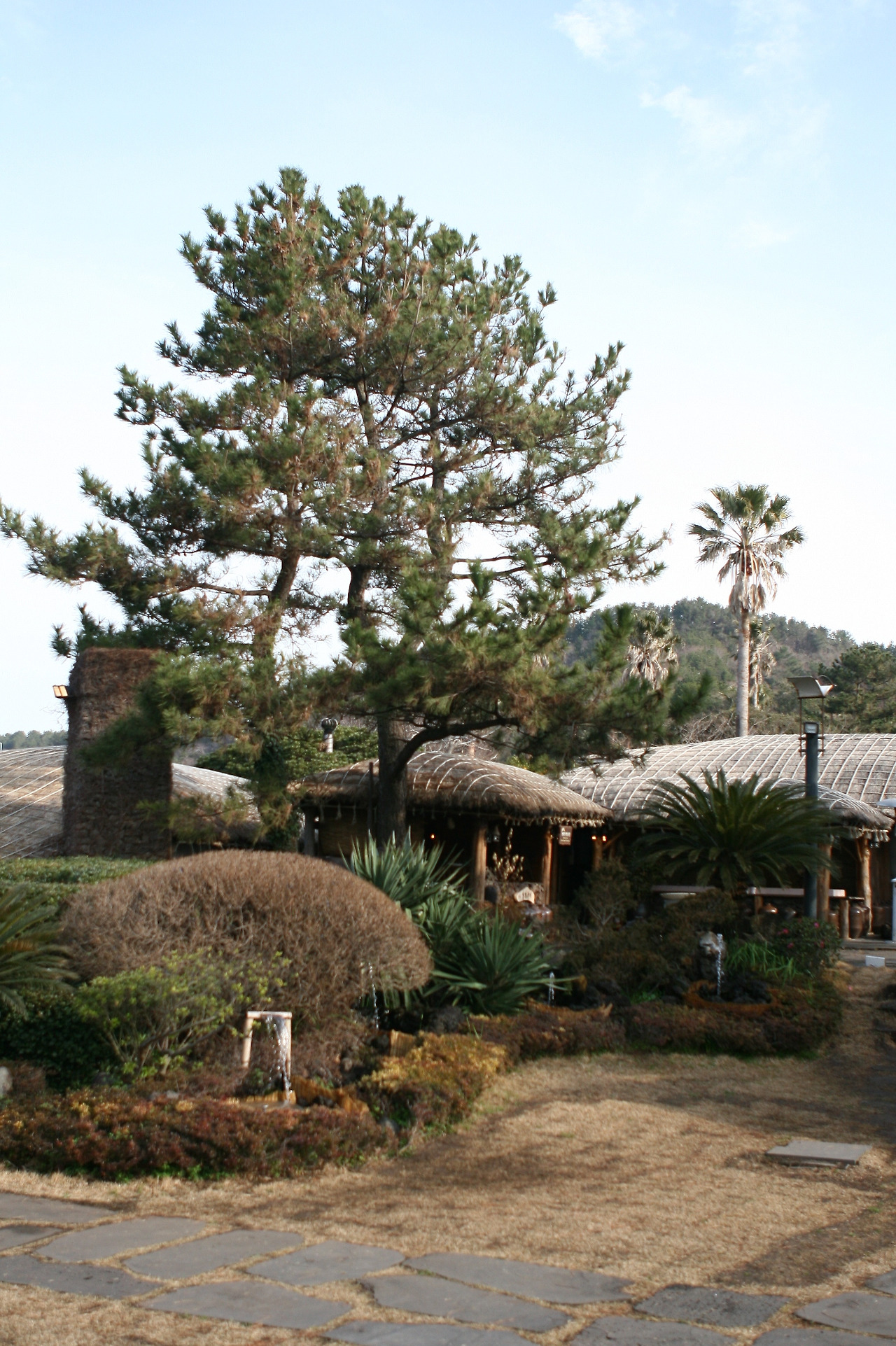 카지노 게임