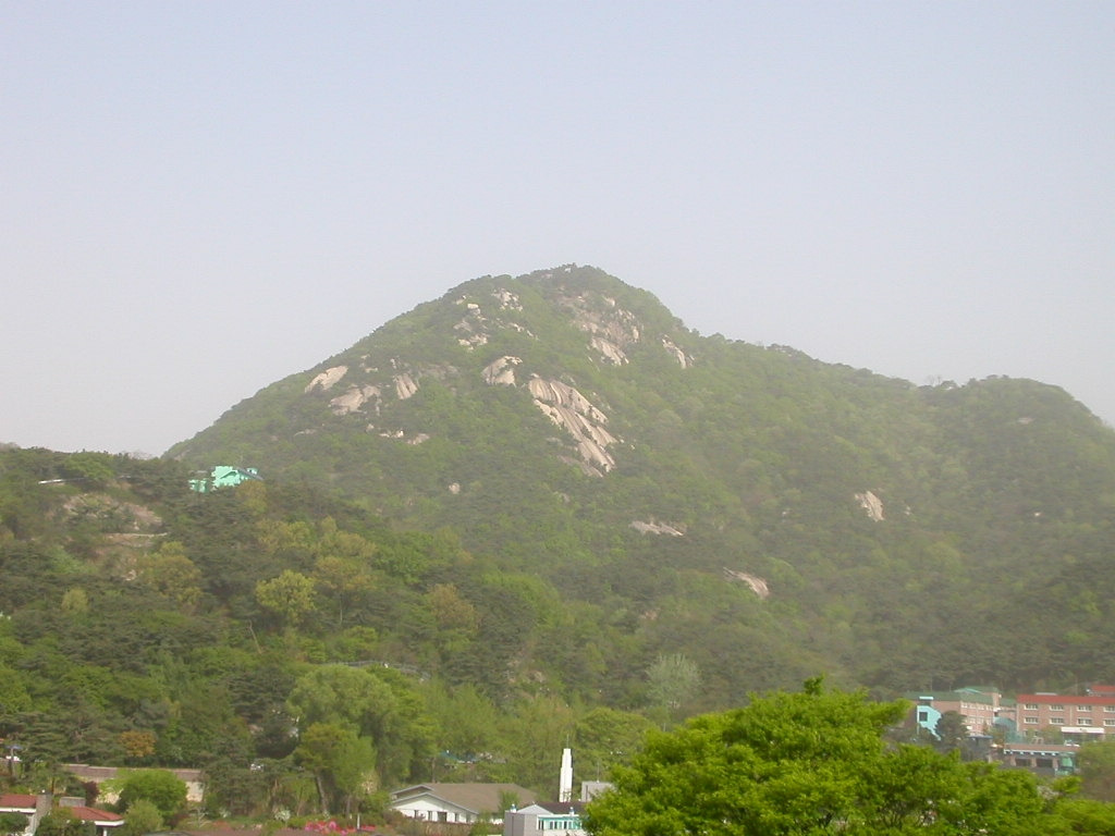 카지노 게임 사이트