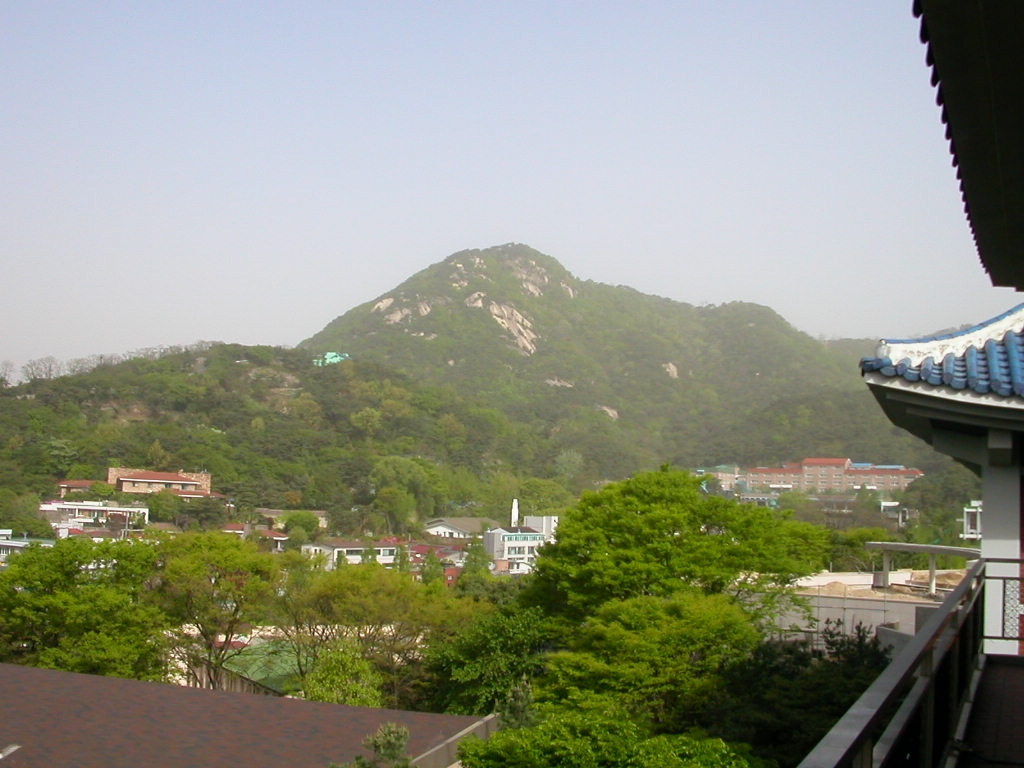 카지노 게임 사이트