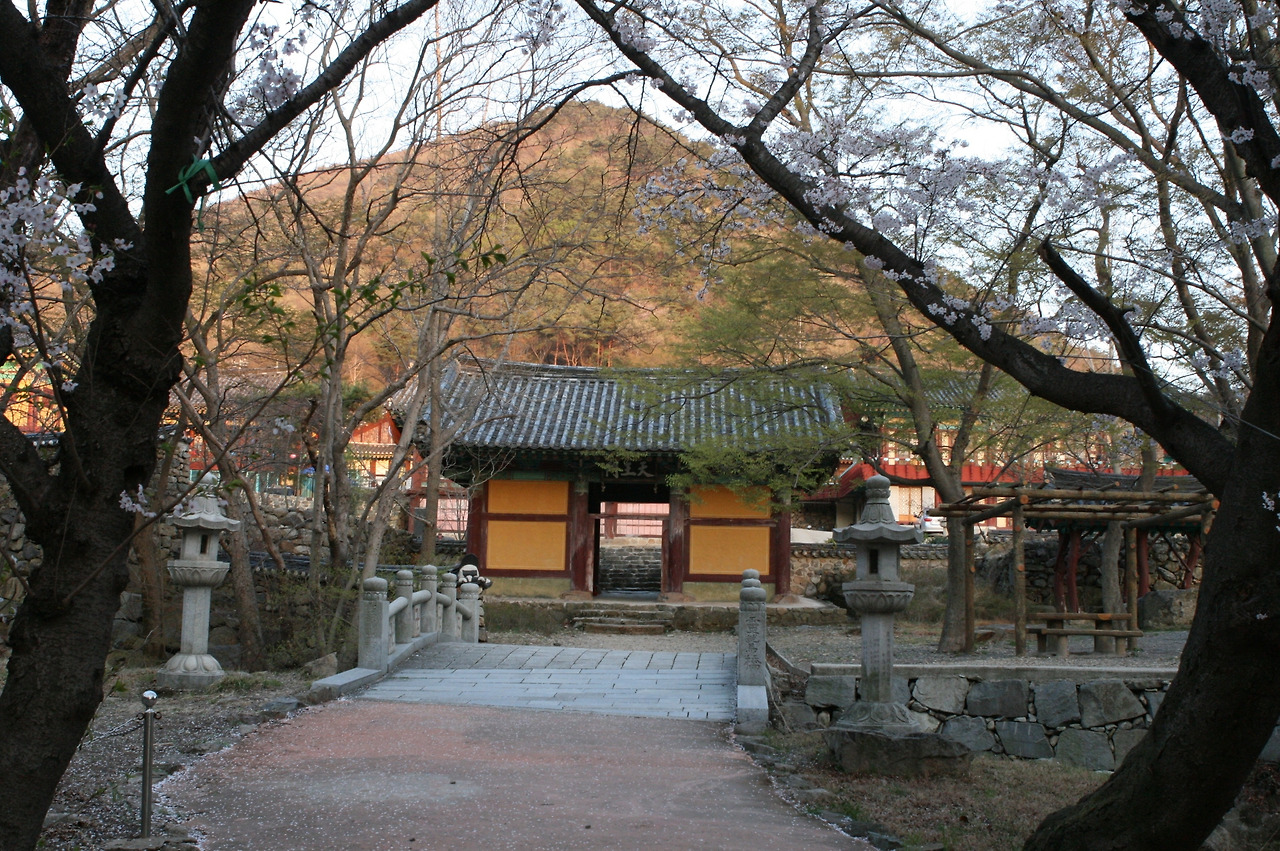 카지노 게임 추천