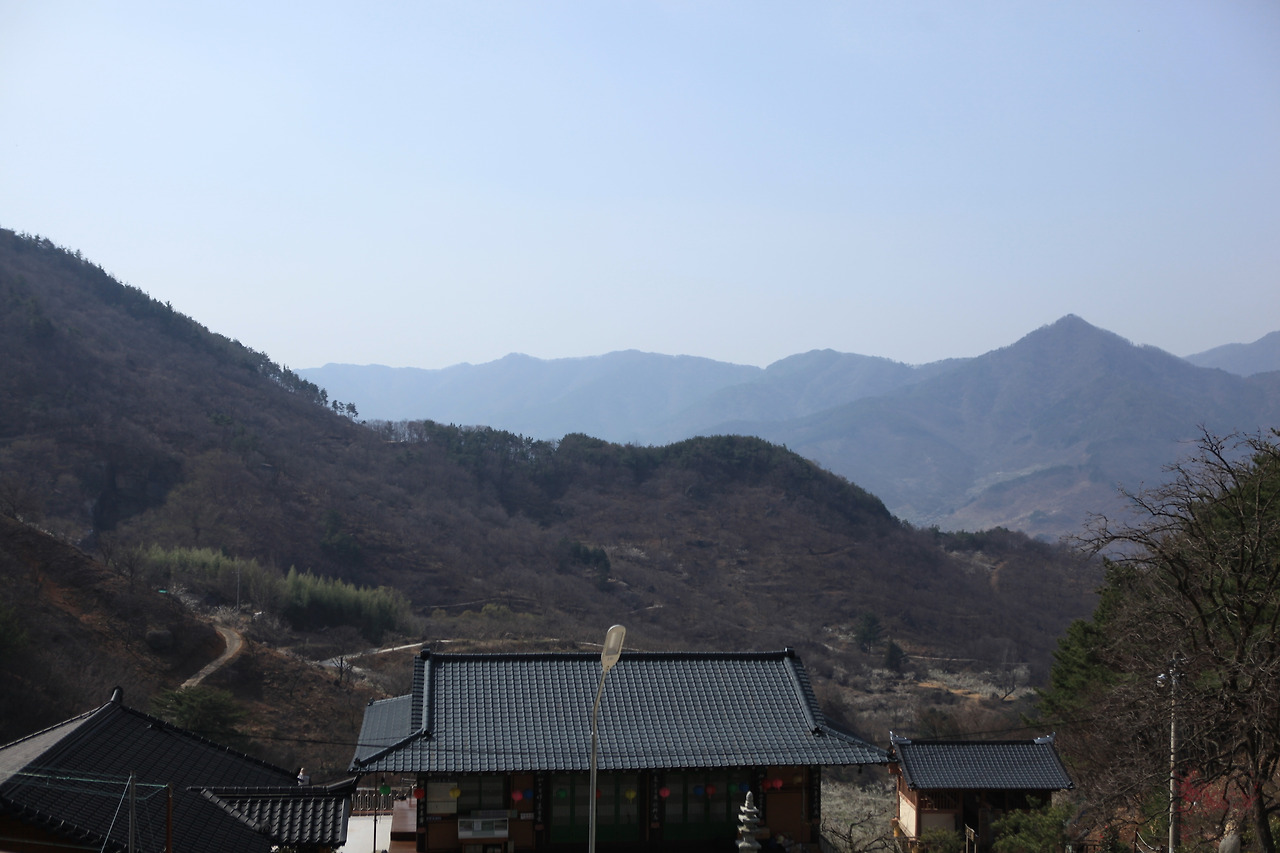 카지노 게임