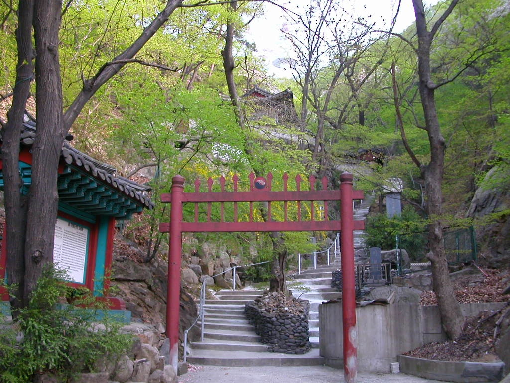 카지노 쿠폰