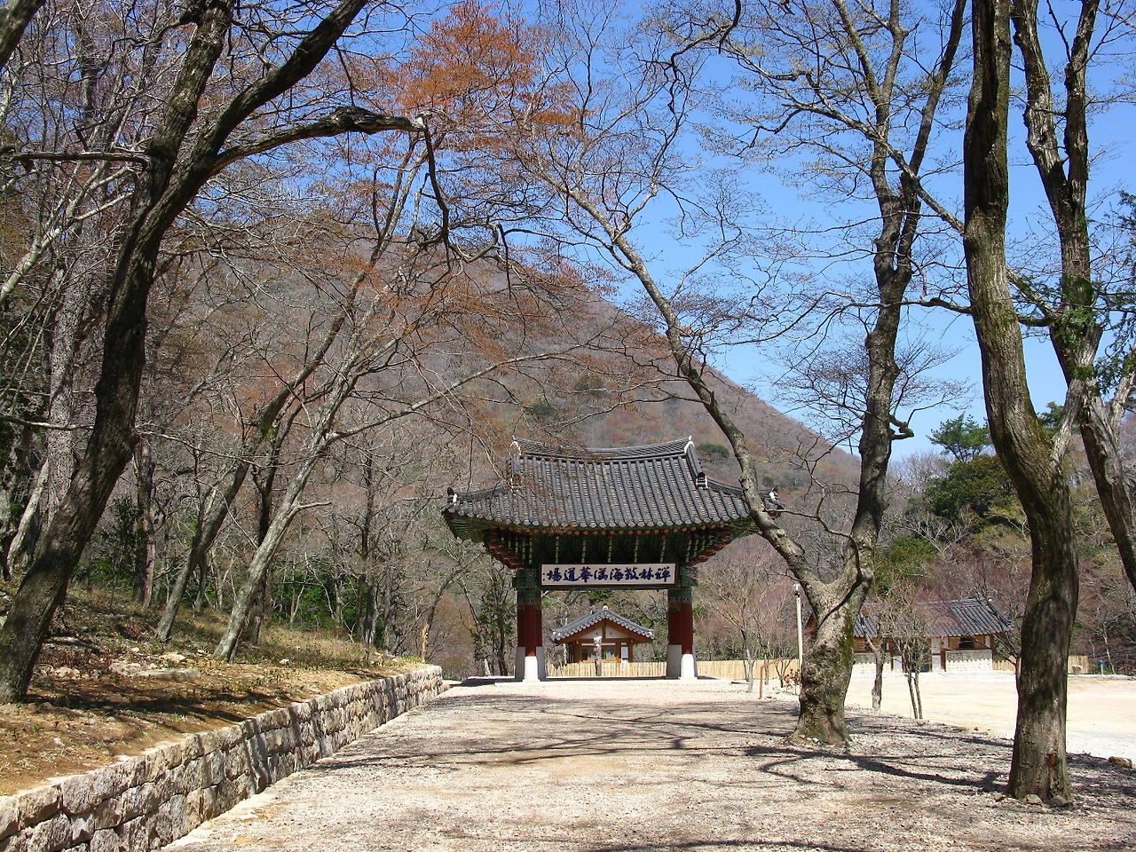 카지노 쿠폰
