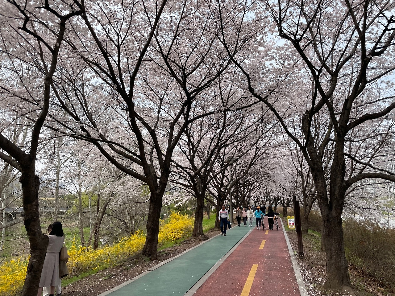 카지노 게임 사이트