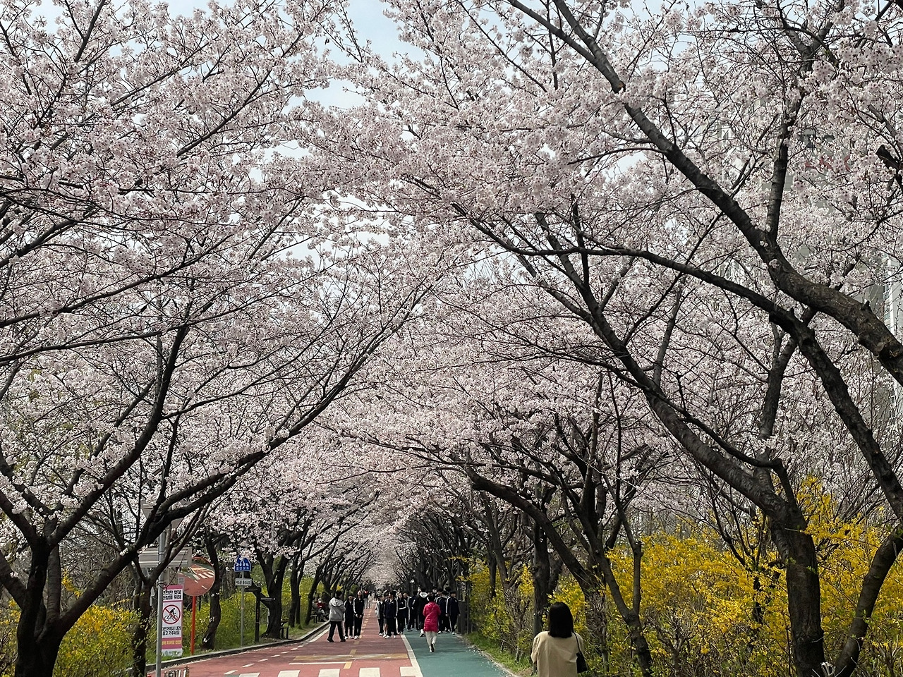 카지노 게임 사이트