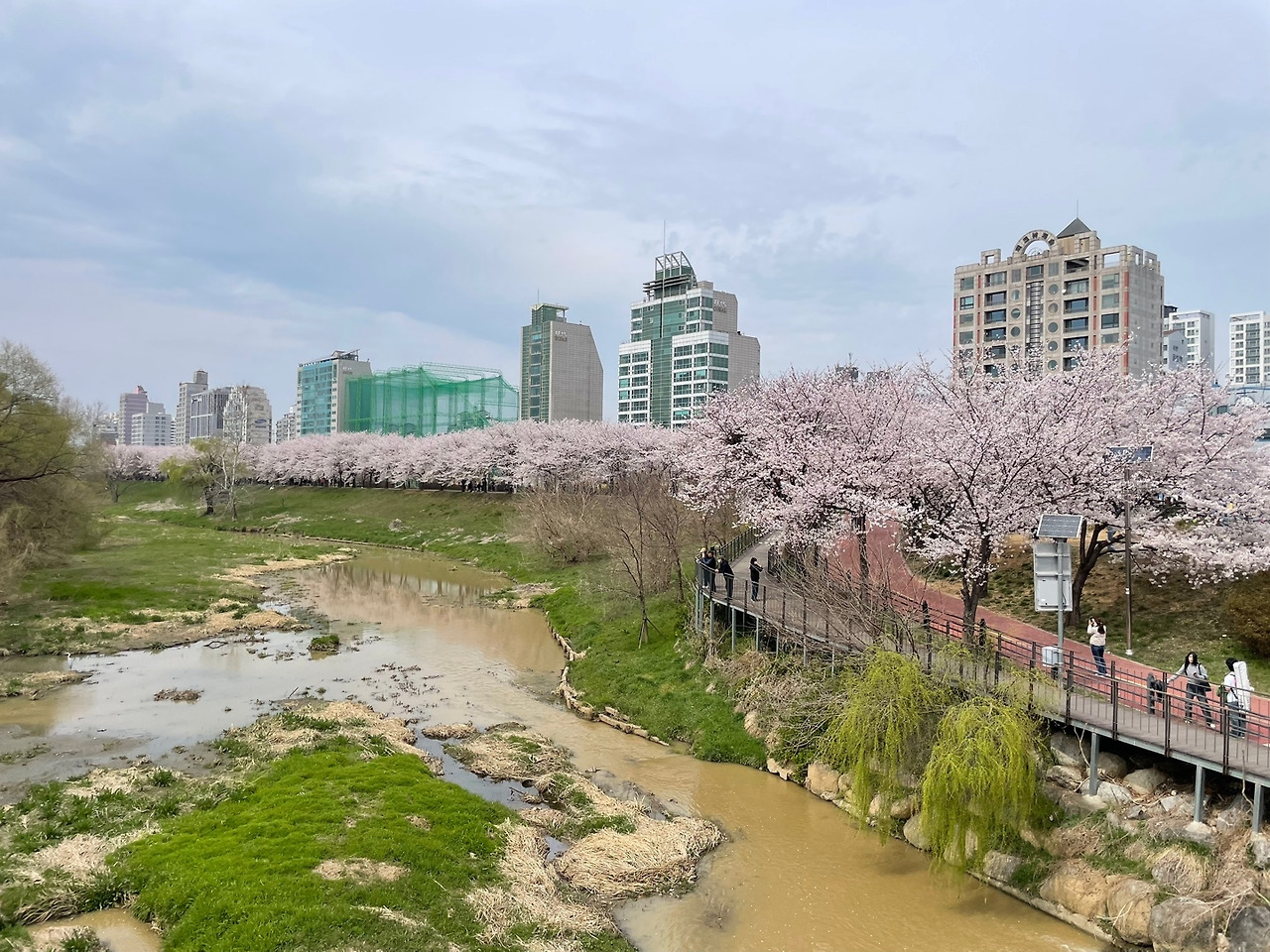 카지노 게임 사이트