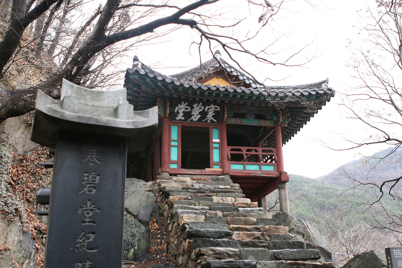 카지노 게임 추천
