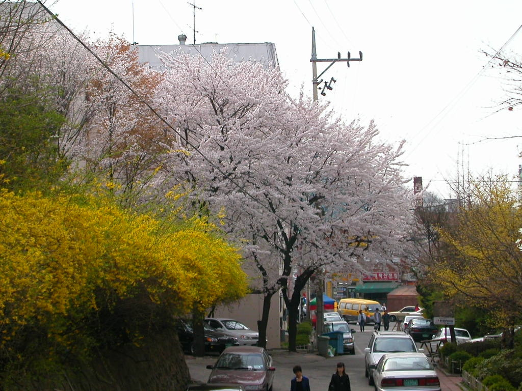 카지노 게임 사이트