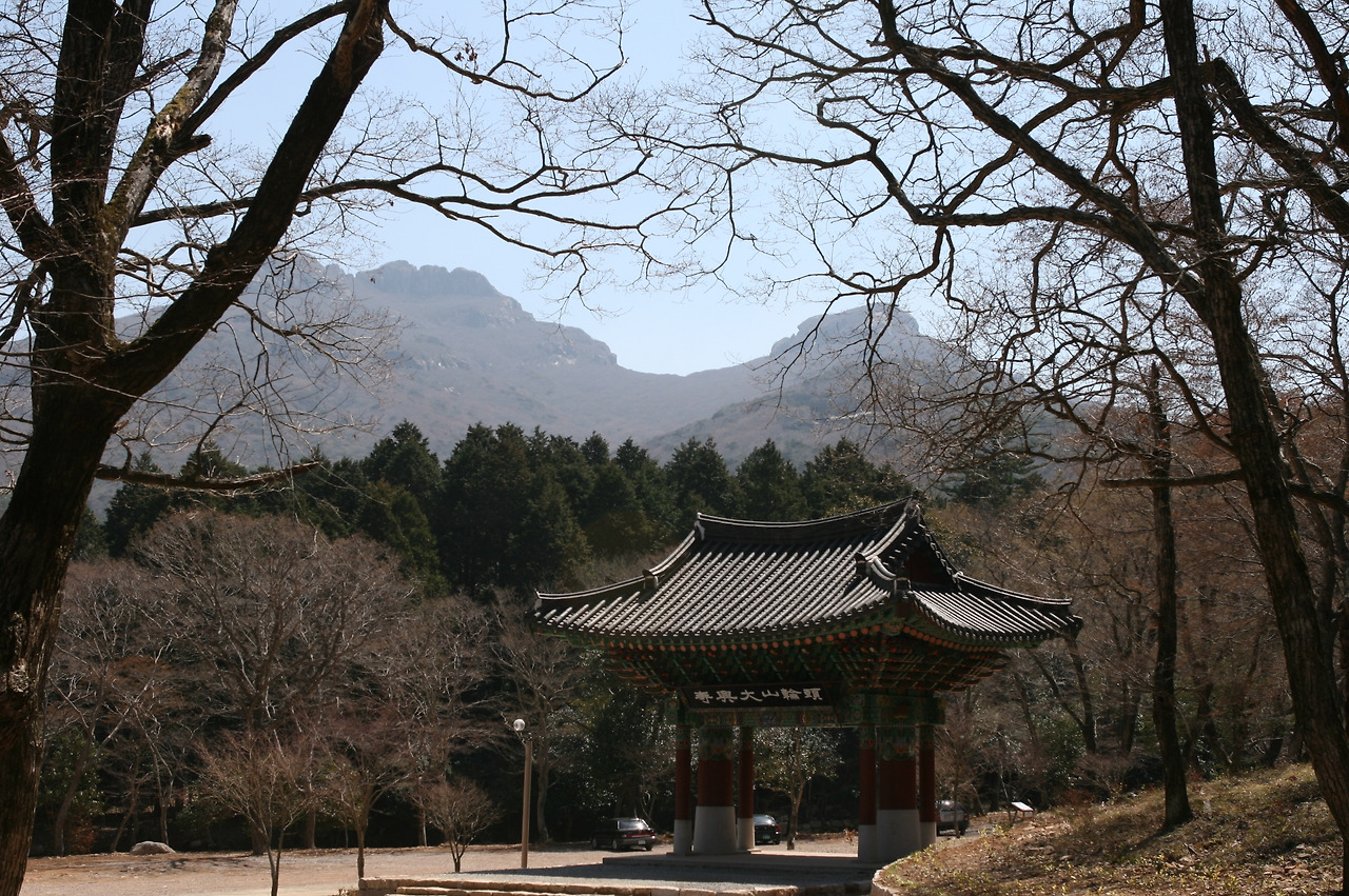 카지노 쿠폰