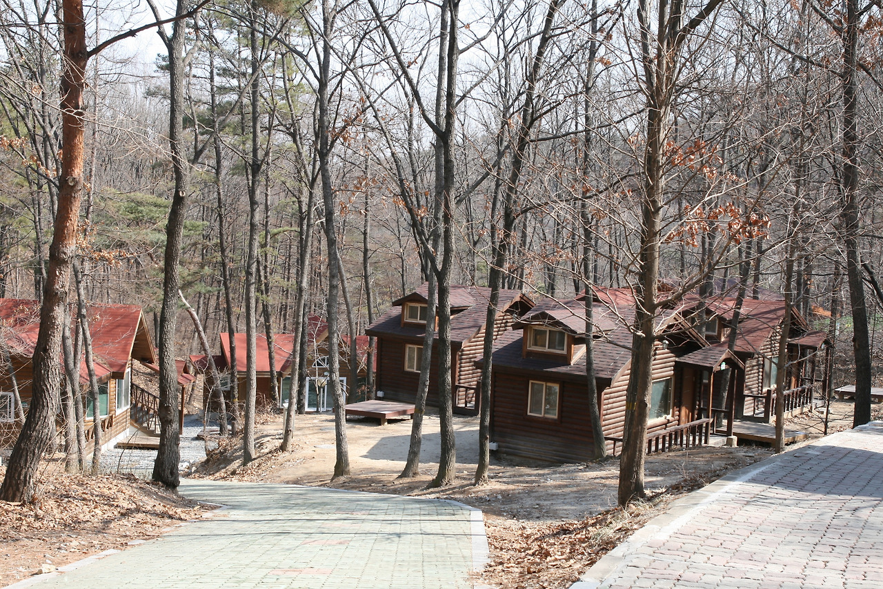 카지노 게임 사이트