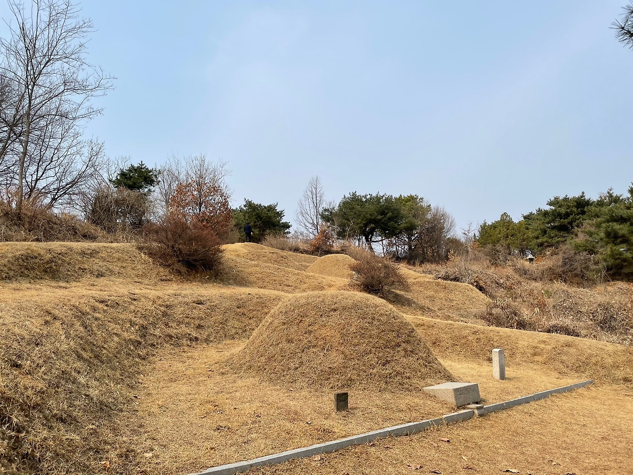 온라인 카지노 게임