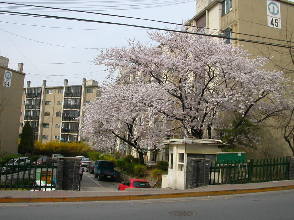 카지노 게임 사이트