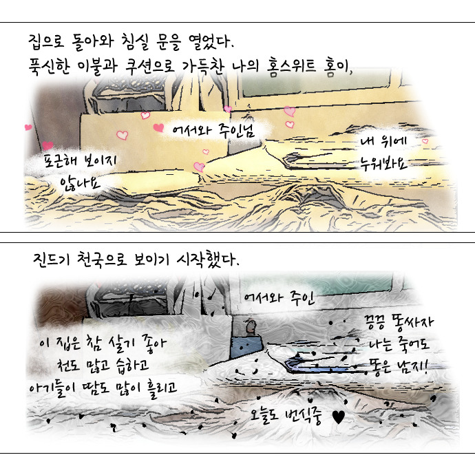 알러지 전쟁 62.jpg