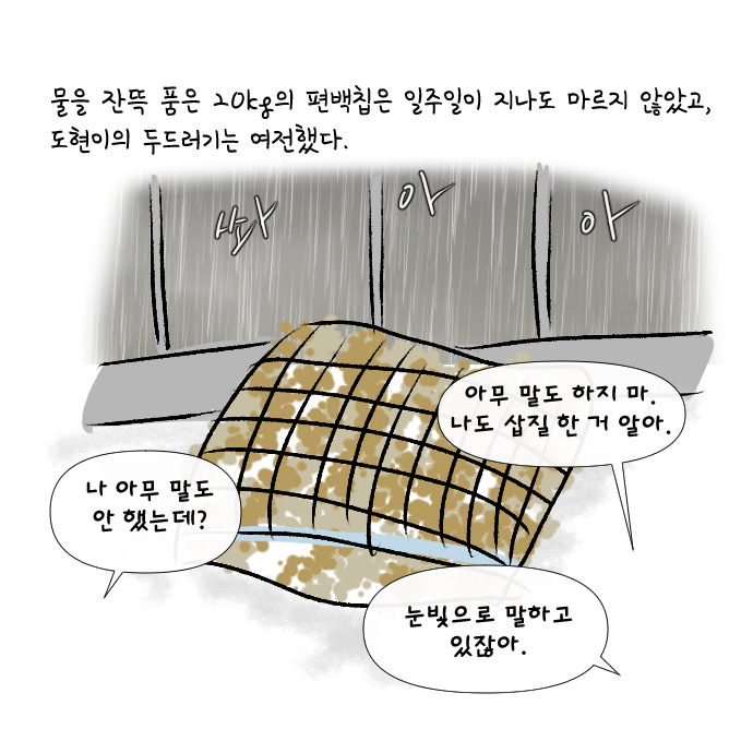 알러지 전쟁 59.jpg