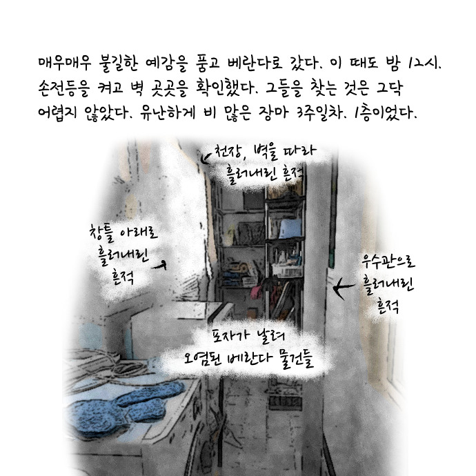 알러지 전쟁 65.jpg