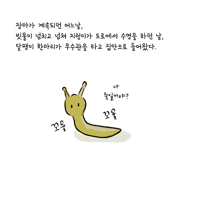달팽이1.jpg